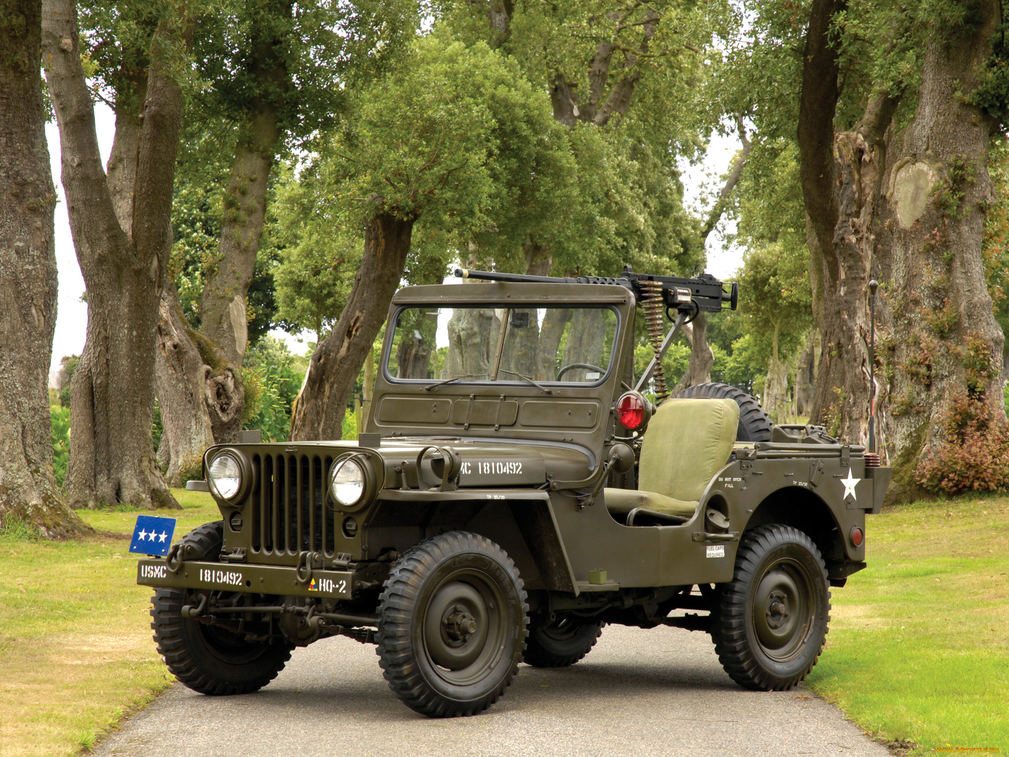 willys m38 jeep 1950, ,  , 1950, jeep, m38, willys